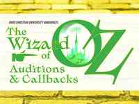 Wizard of Oz Audition Article 2025